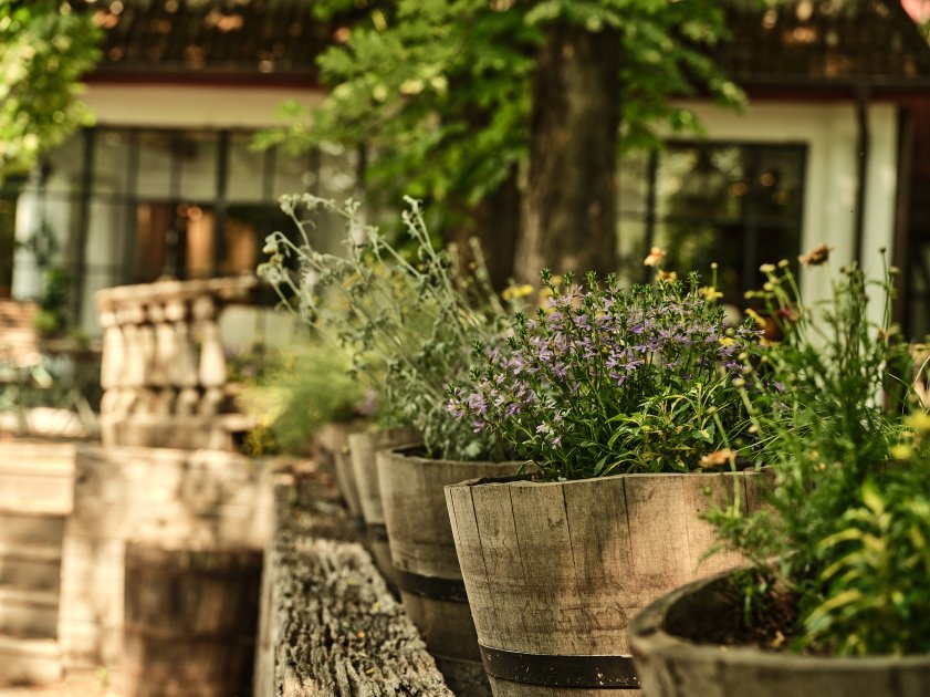 hotel bleiche spreewald arrangements